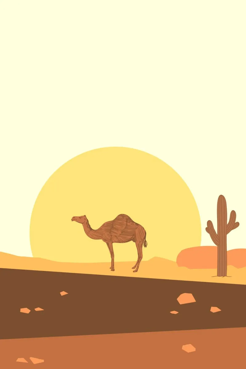 Camel tela con Cornice a cassetta da mip of map