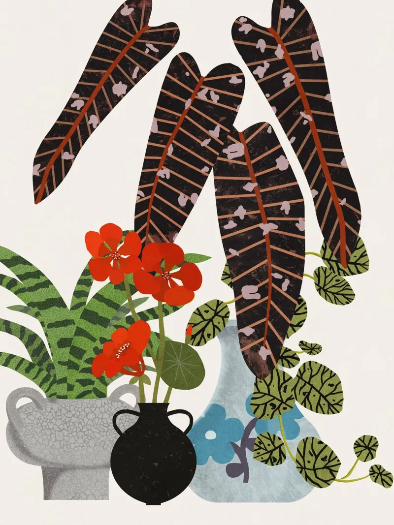 Botanical Still Life acrylic glass by Asha Designs