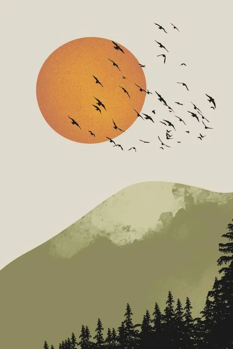 sunset and fly bird poster da firmana