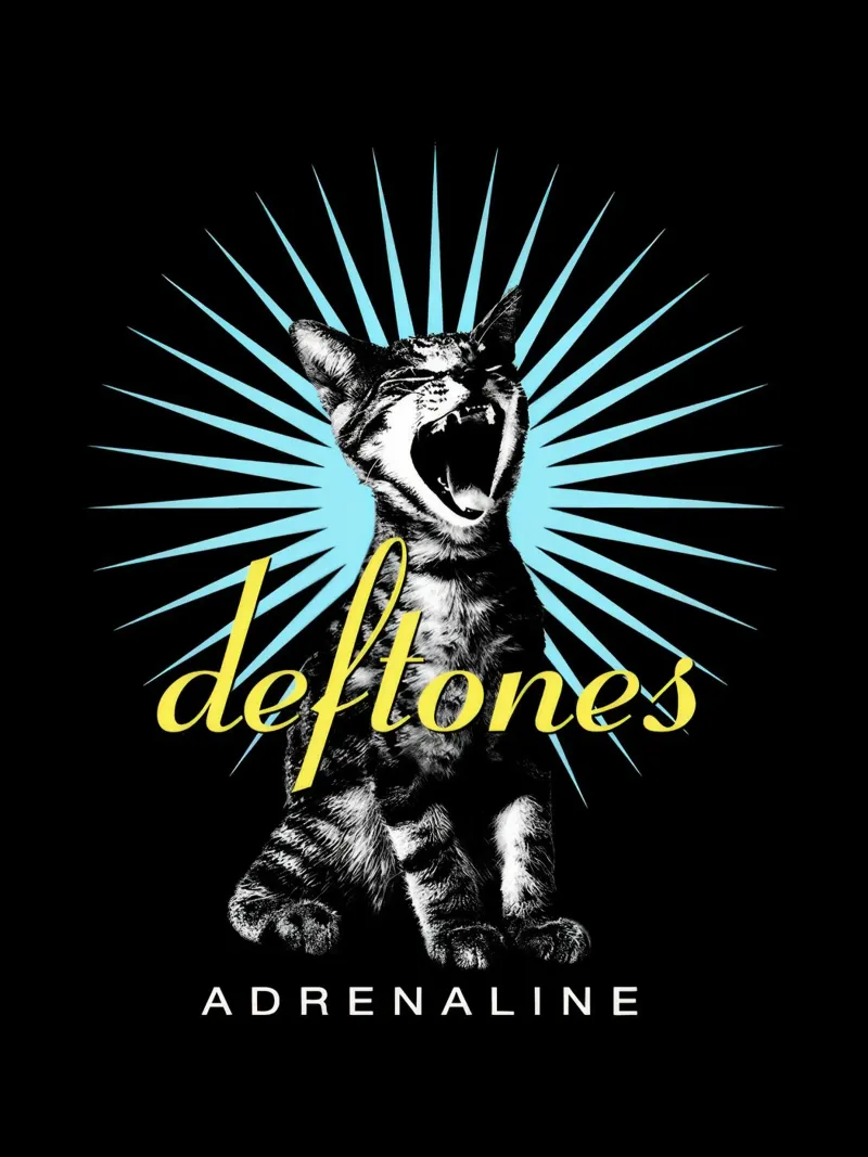 Deftones Screaming Cat Adrenaline canvas met Baklijst van Dardenden