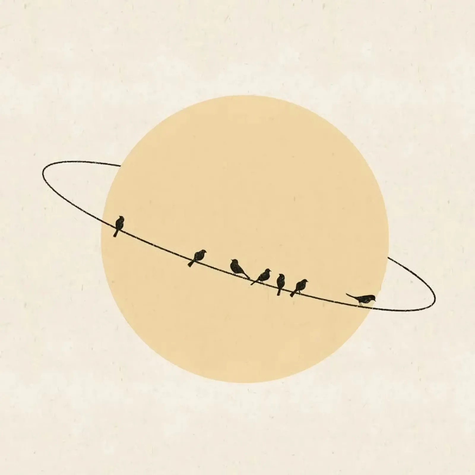 The birds circle poster da mip of map