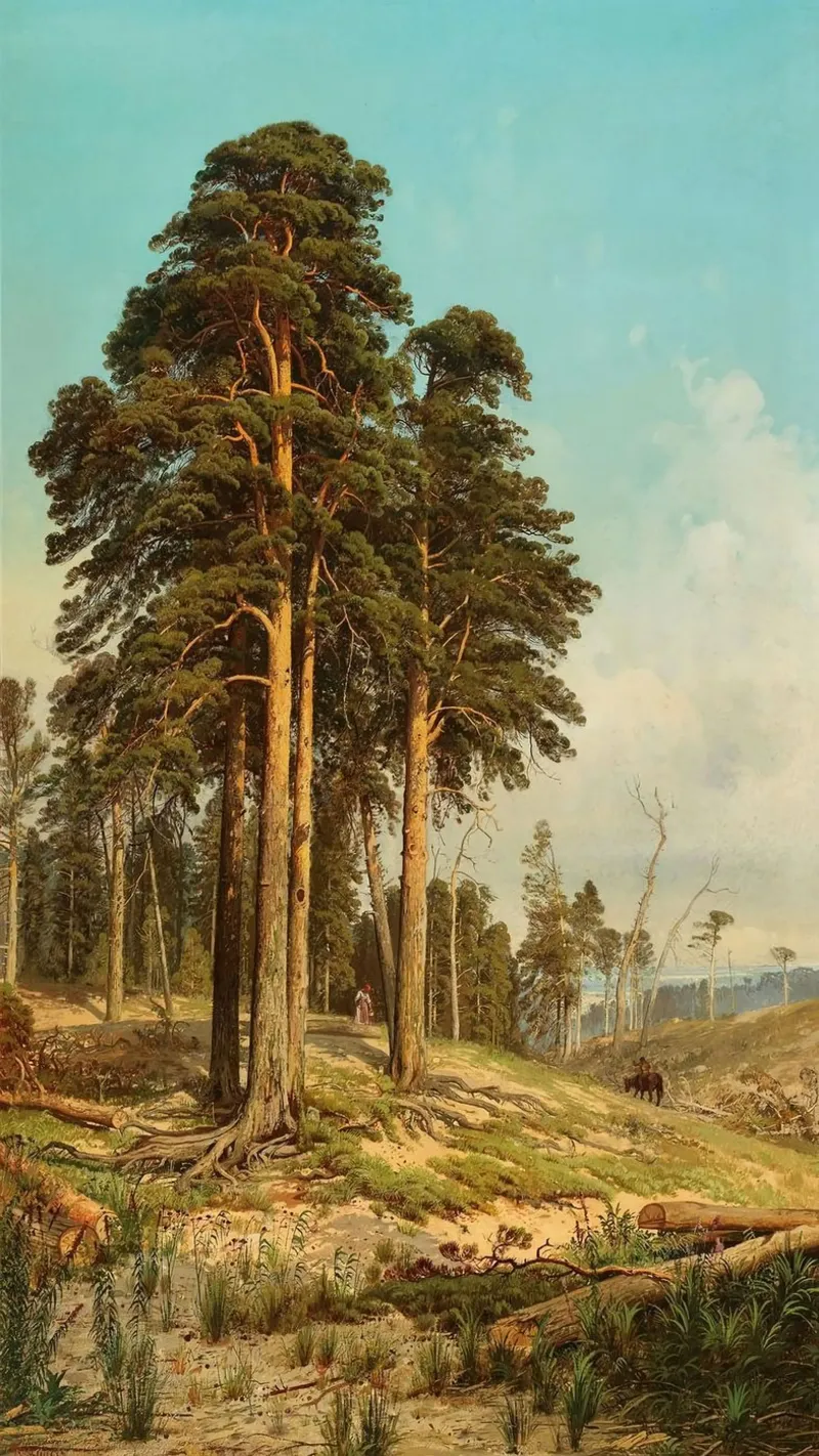 tall tree forest poster da carsa