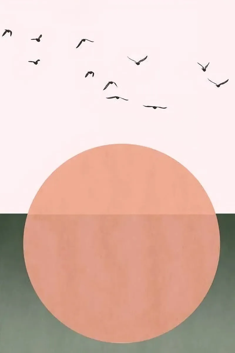 birds with sunset shadow poster da melts