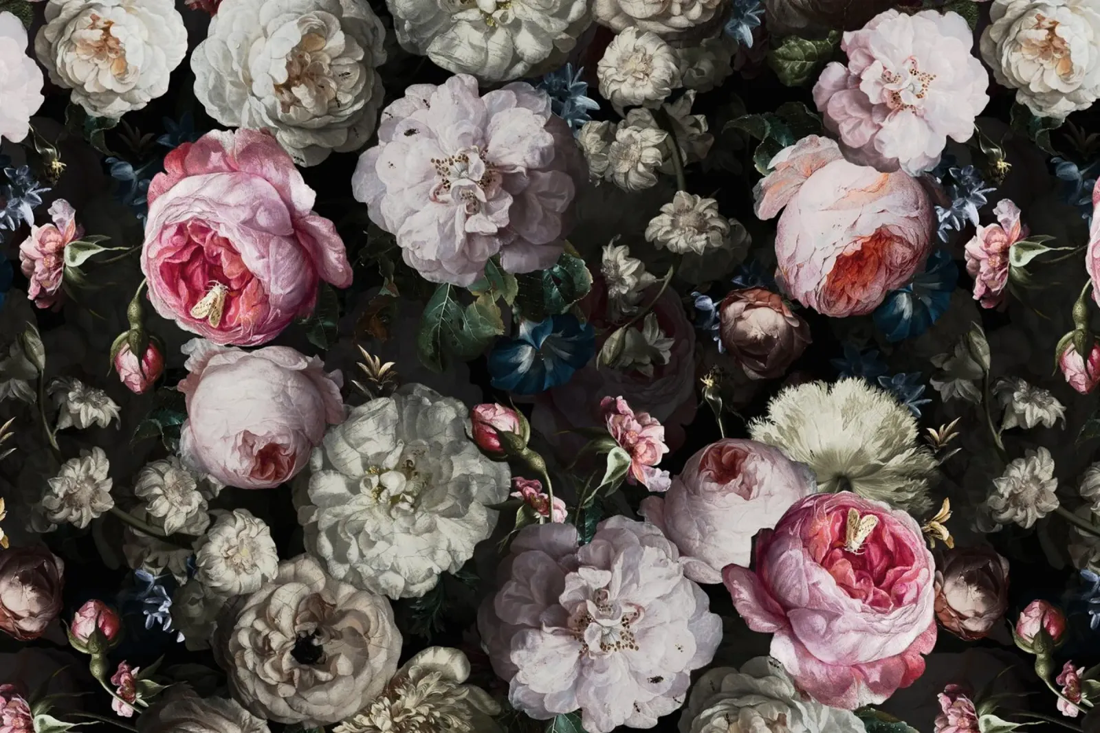 Lussureggiante giardino barocco con rose e camelie di notte tela con Cornice a cassetta da Vintage World - Uta Naumann