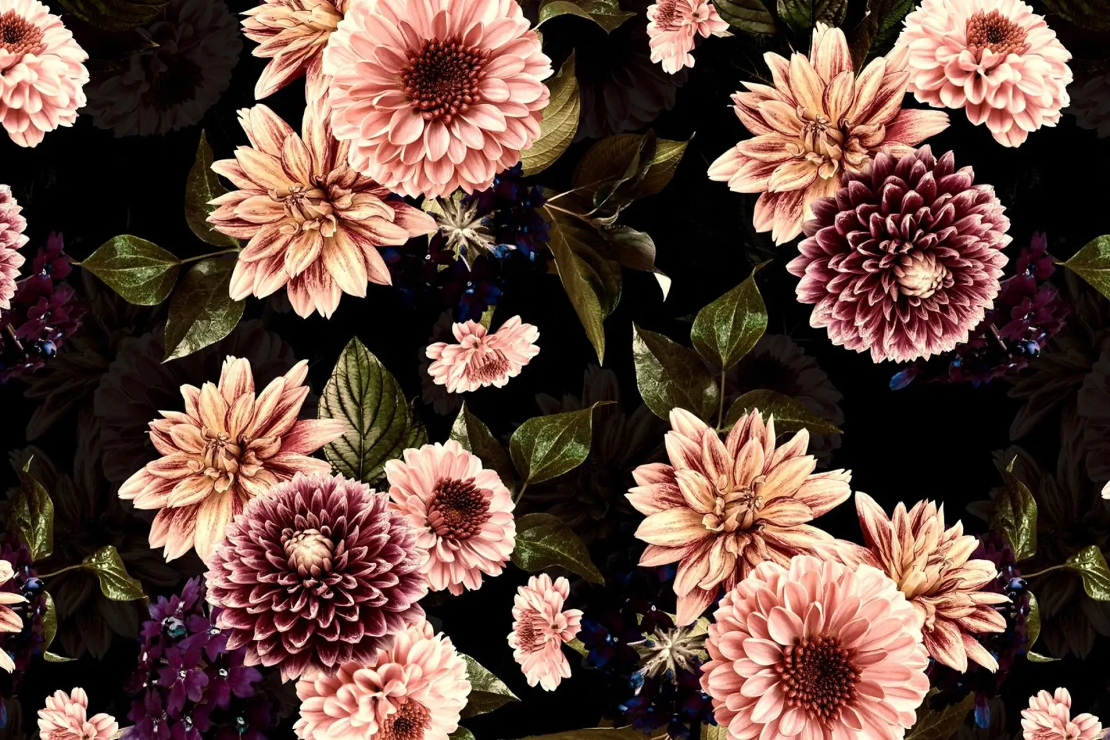 Giardino autunnale di mezzanotte con dalie e fiori di gerbera poster da Vintage World - Uta Naumann