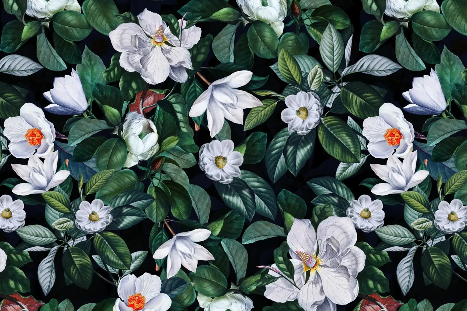 Giardino di magnolie vintage di mezzanotte con fiori bianchi poster con telaio in legno da Vintage World - Uta Naumann