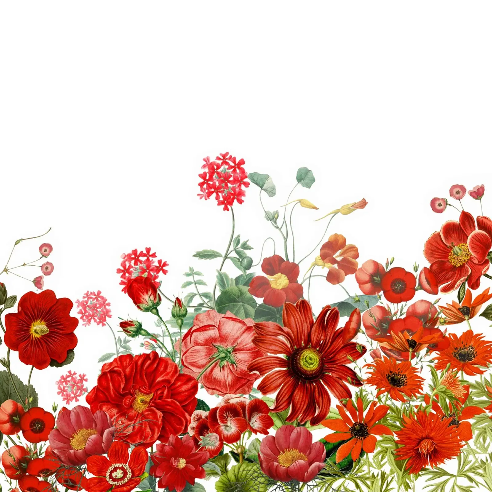 Giardino di prati rossi vintage con fiori e piante selvatiche tela con Cornice a cassetta da Vintage World - Uta Naumann