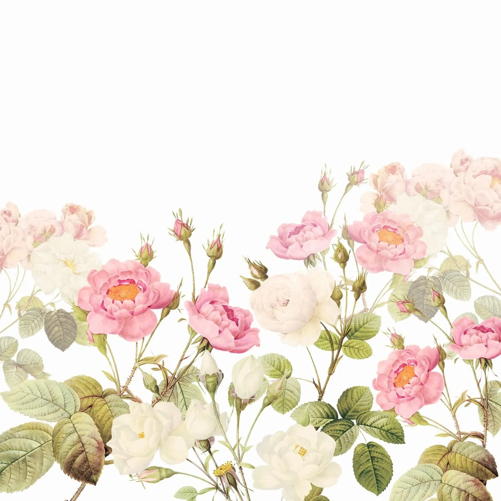 Vintage Redouté Rozen Tuin met Blush en Witte Bloemen canvas met Baklijst van Vintage World - Uta Naumann