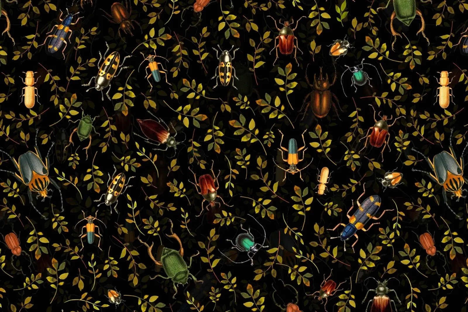 Vintage nachttuin met kleurrijke kevers en insecten canvas met Baklijst van Vintage World - Uta Naumann