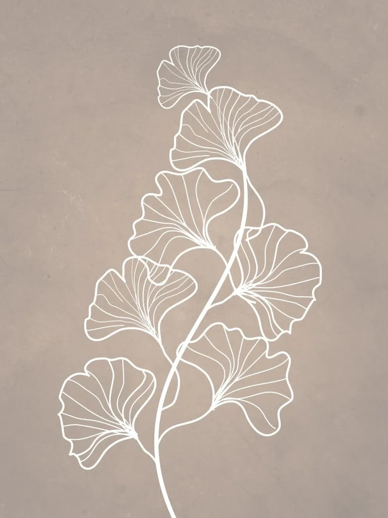 Piante in grigio poster da WijdevenPrints