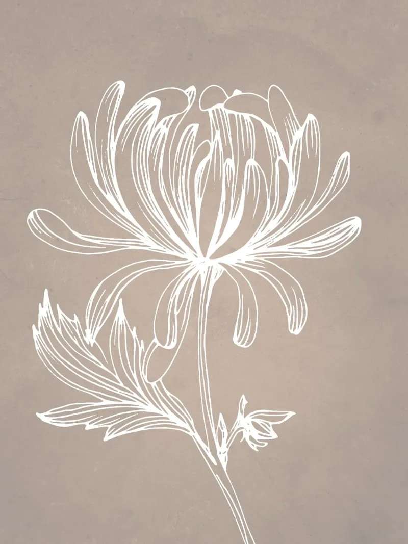 Piante in grigio tela con Cornice a cassetta da WijdevenPrints