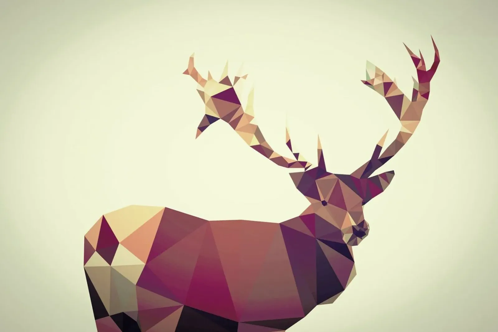 Cervus elaphus pellicola backlit da Matěj Kašpar Jirásek