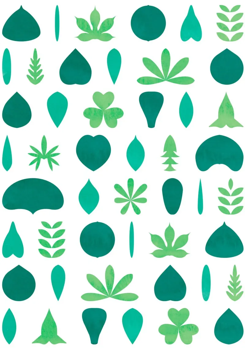 Leaf Shapes and Arrangements #1 poster da kathrinmay
