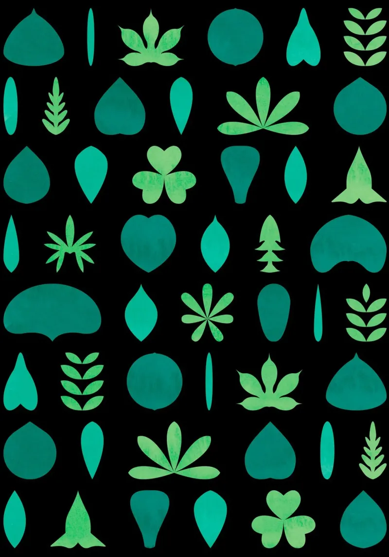 Leaf Shapes and Arrangements #2 poster da kathrinmay