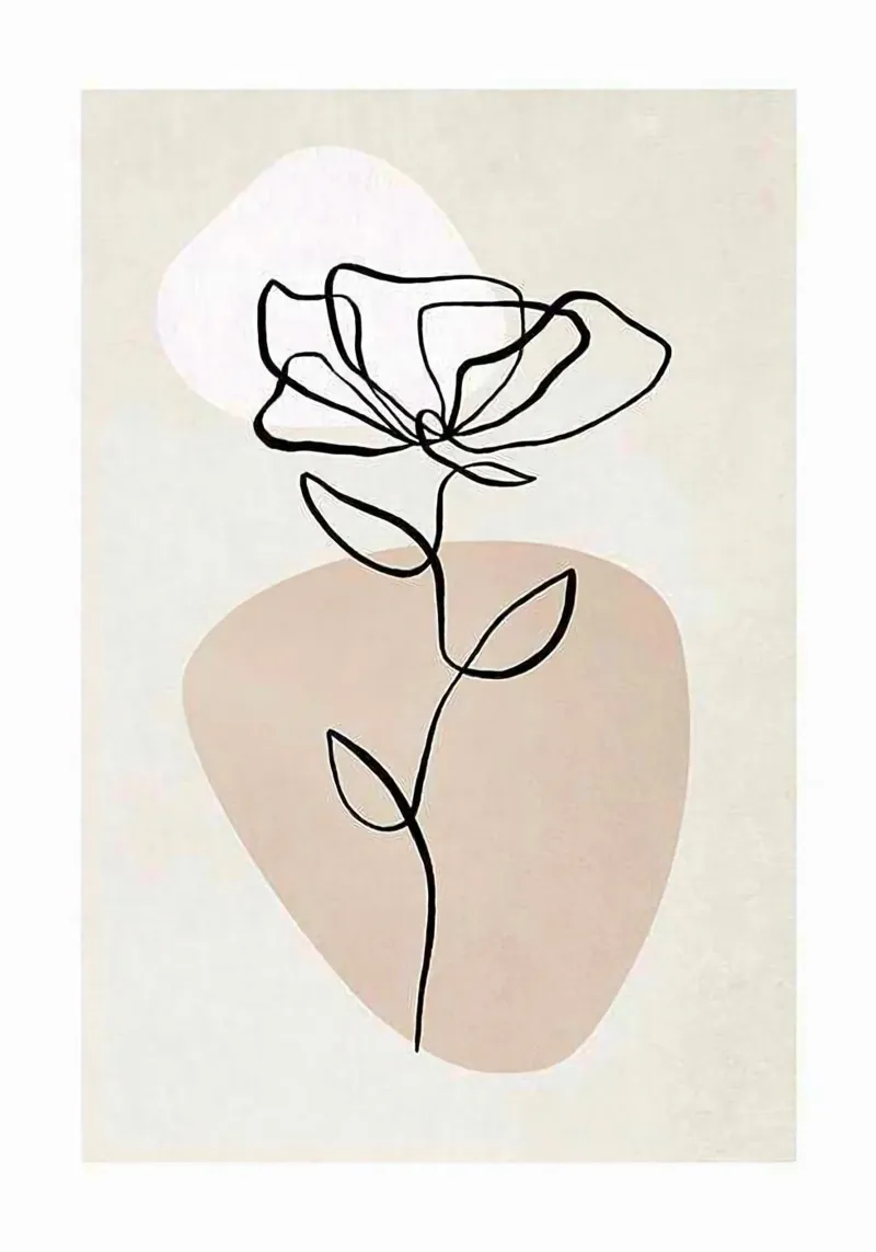curve line rose poster da throme