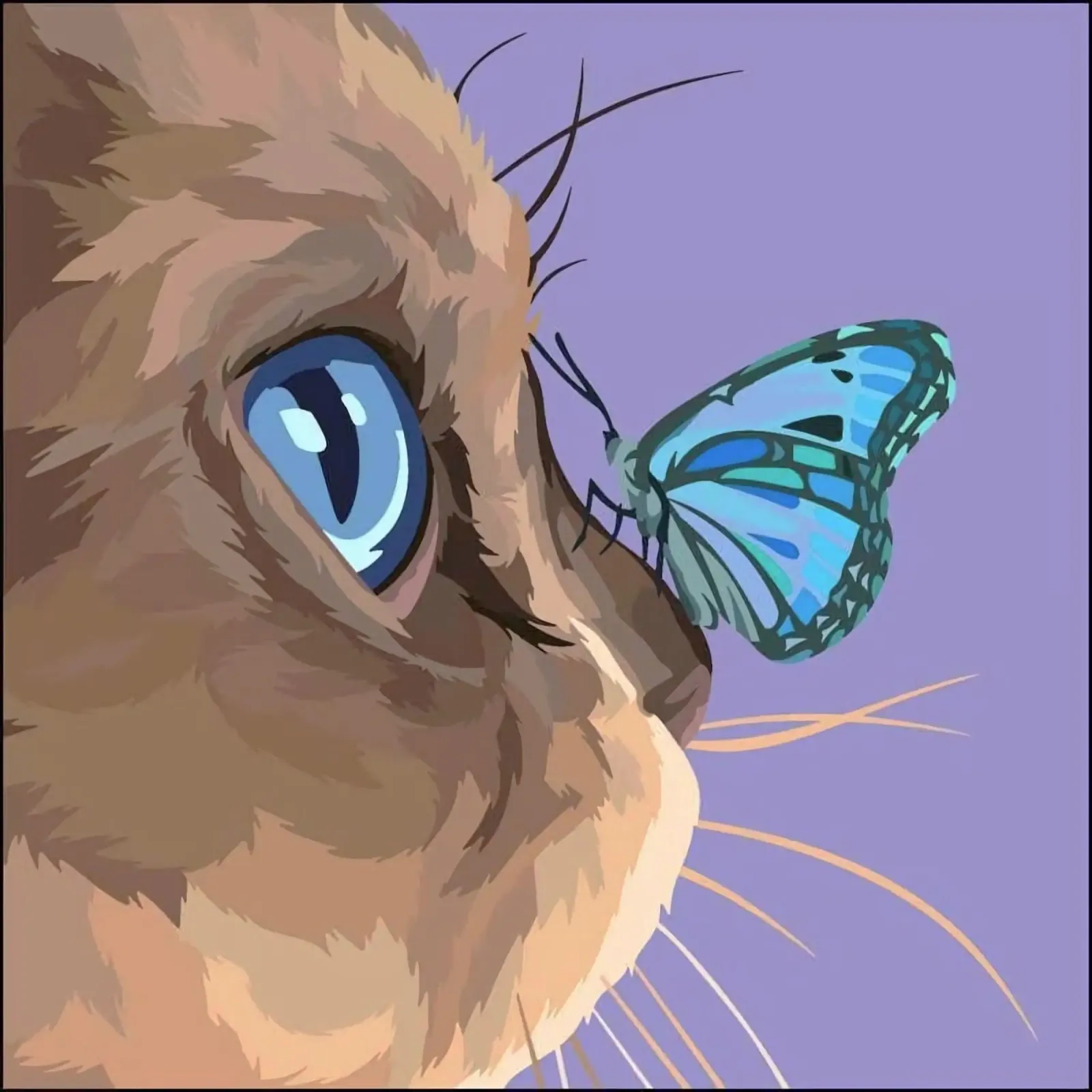 posture cat and butterfly tela con Cornice a cassetta da chaodays