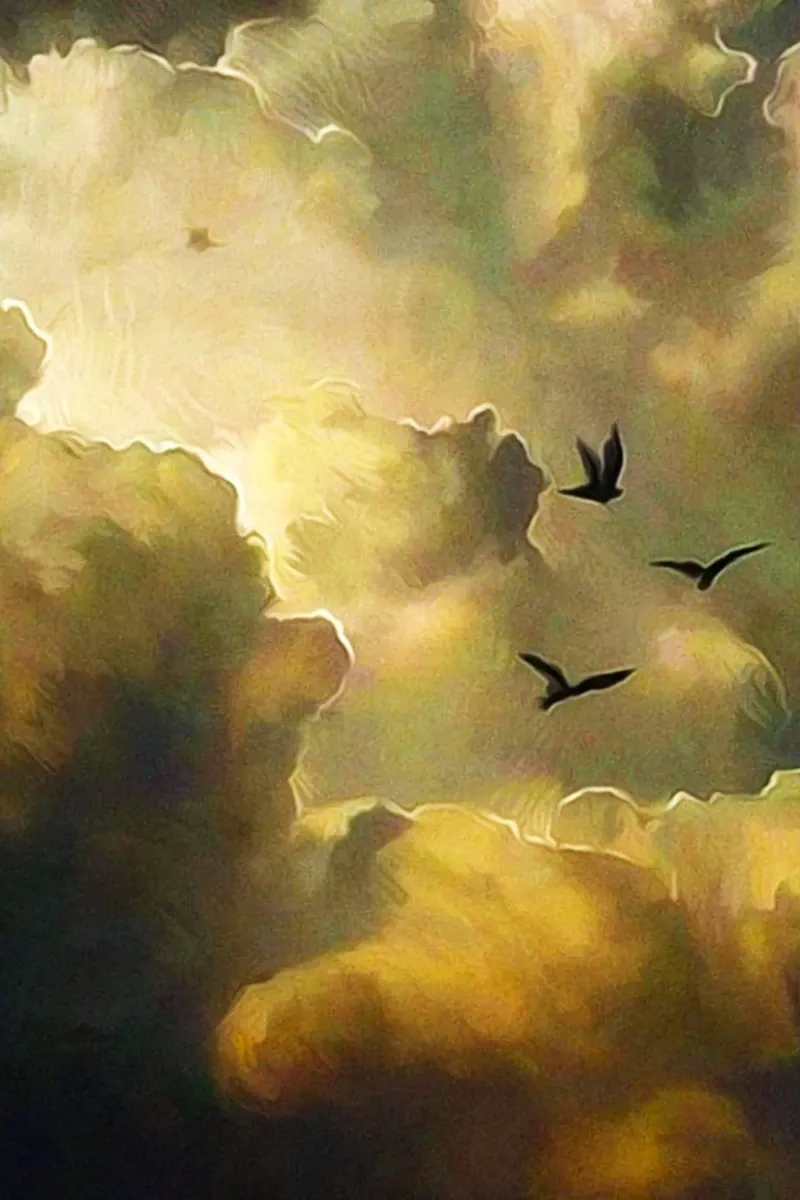 fly bird in cloud canvas met Baklijst van throme