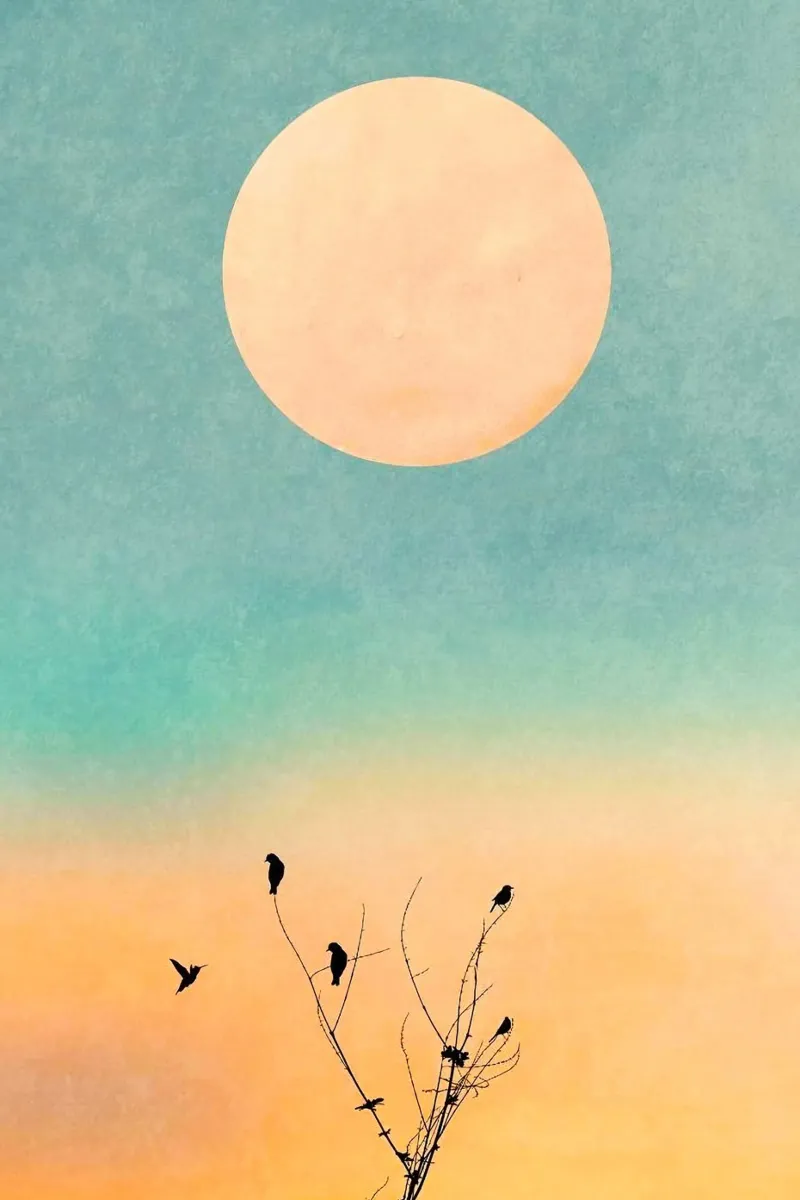 gradient sunset bird canvas with Floater frame by chaodays