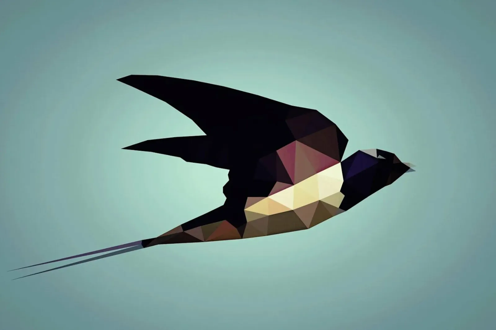 Hirundo rustica plexiglass da Matěj Kašpar Jirásek