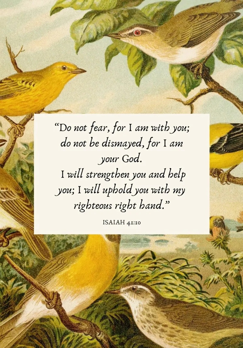 Do Not Fear, Isaiah 41:10 Art Print canvas with Floater frame by vintagepod