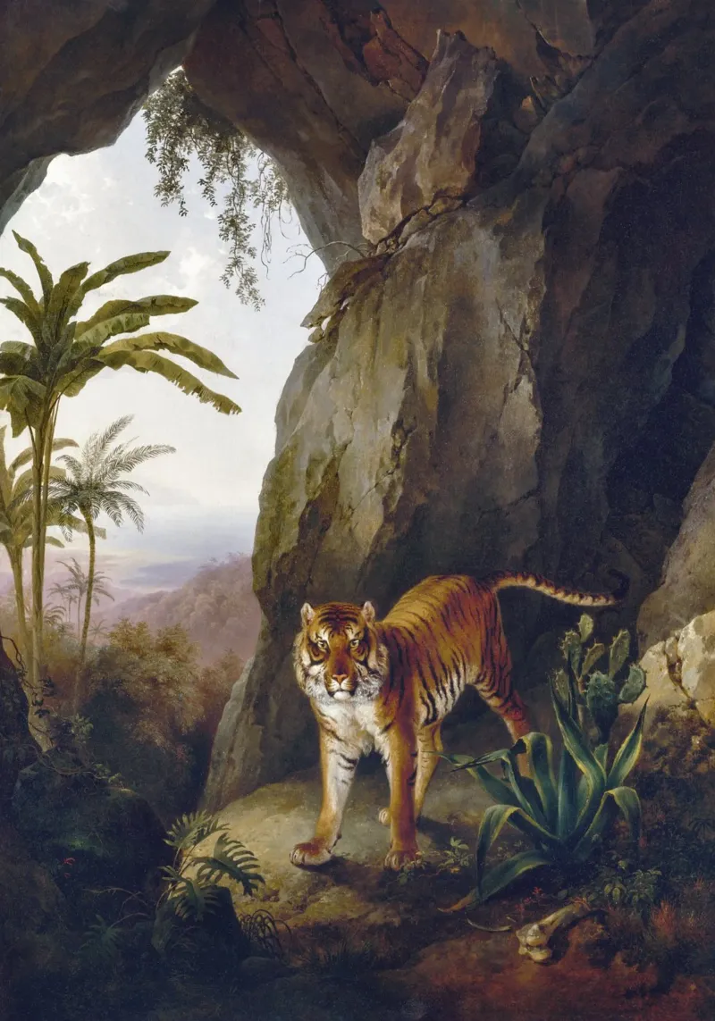 Tiger in a Cave canvas with Floater frame by vintageshop