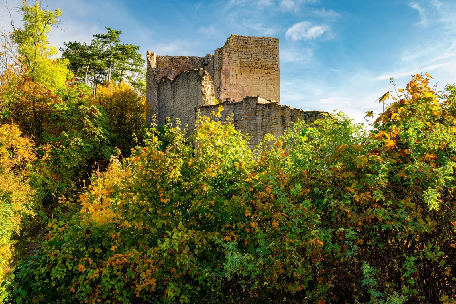 Rovine del castello di Lobdeburgo pellicola backlit da Marcus Beckert | Fotografie