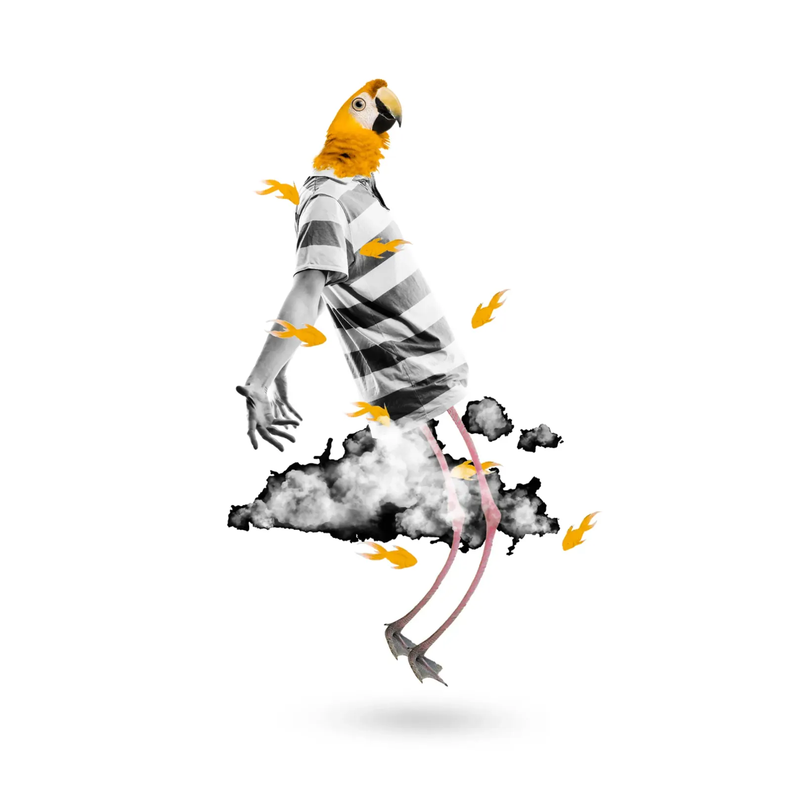 Fly poster con telaio in legno da Design by Soph