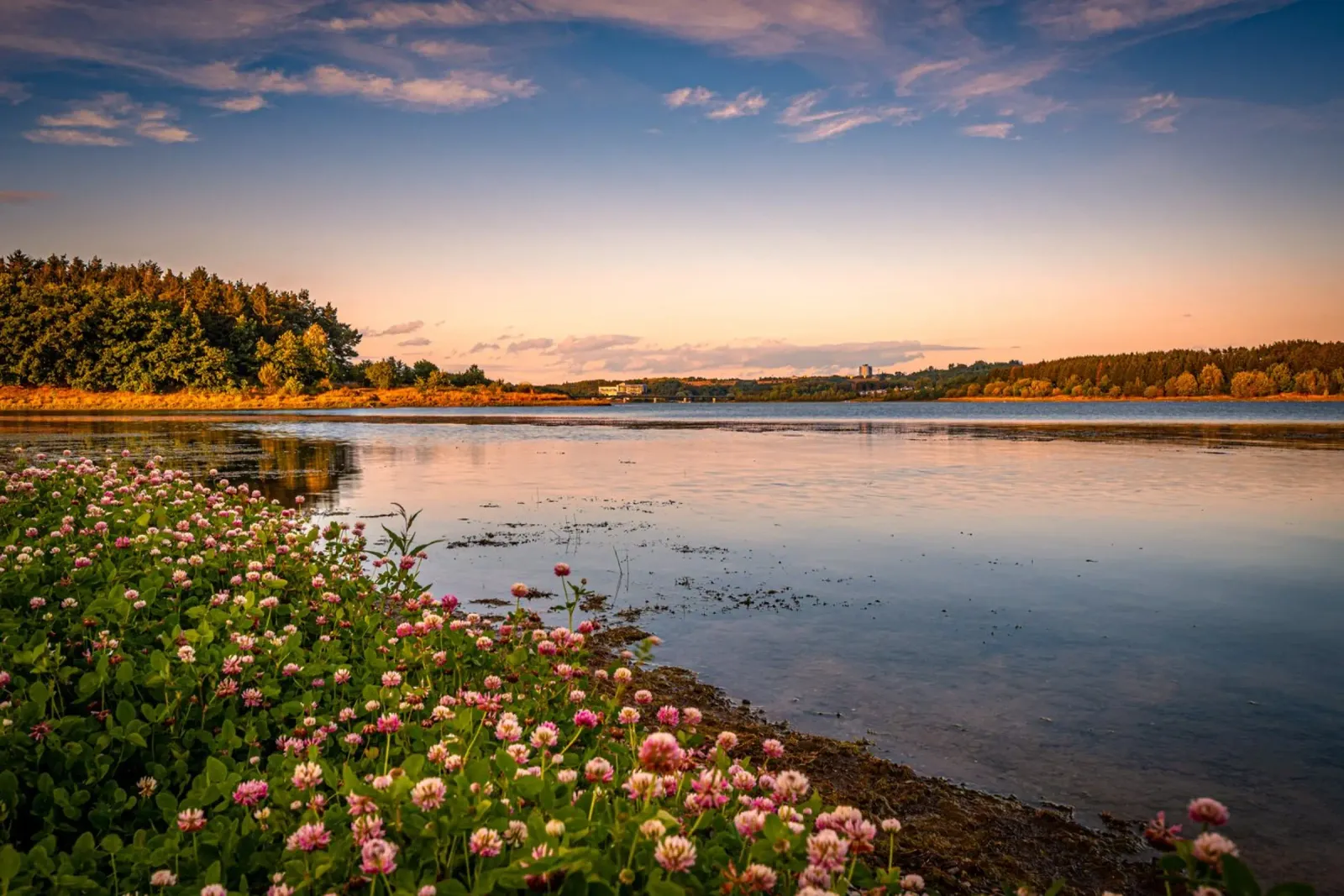 Il lago artificiale al tramonto pellicola backlit da Marcus Beckert | Fotografie