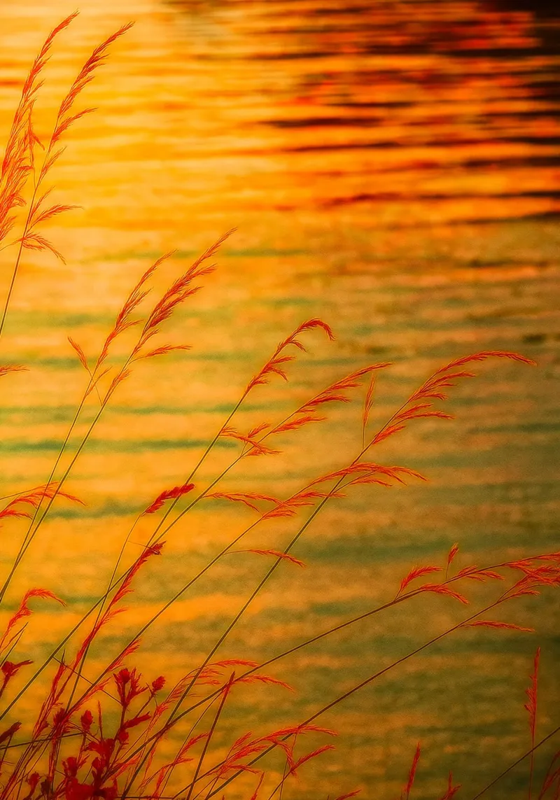 lake view when sunset retro photography canvas with Floater frame by viantishop