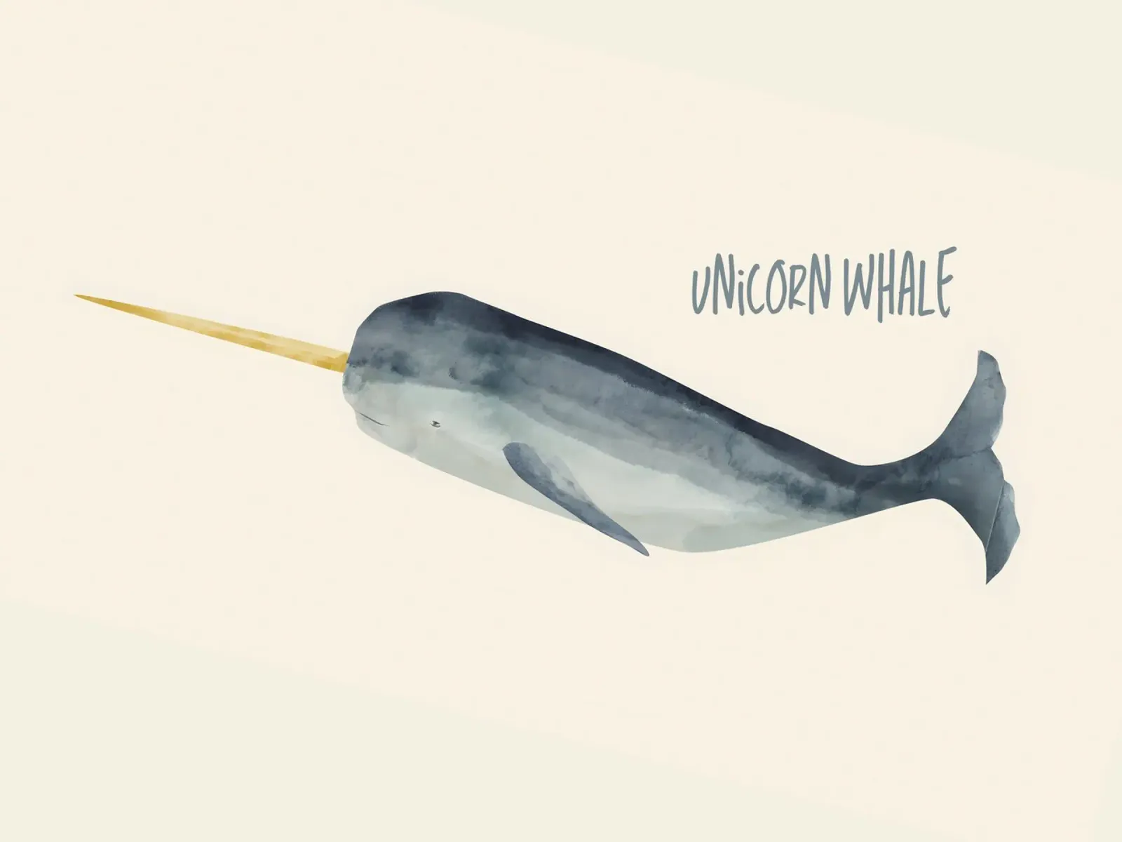 Unicorn whale poster da Indigo Rain