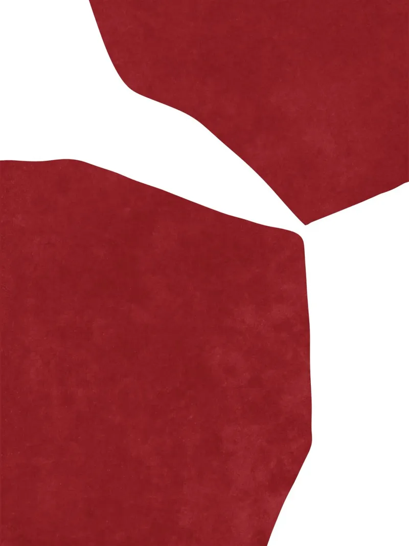 Abstract Rood op wit canvas met Baklijst van Raissa Oltmanns