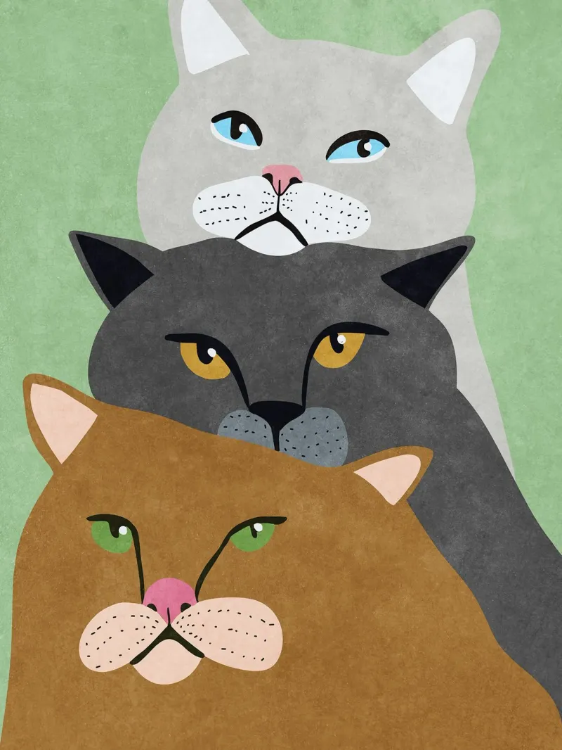 Trio di gatti poster con telaio in plastica da Raissa Oltmanns