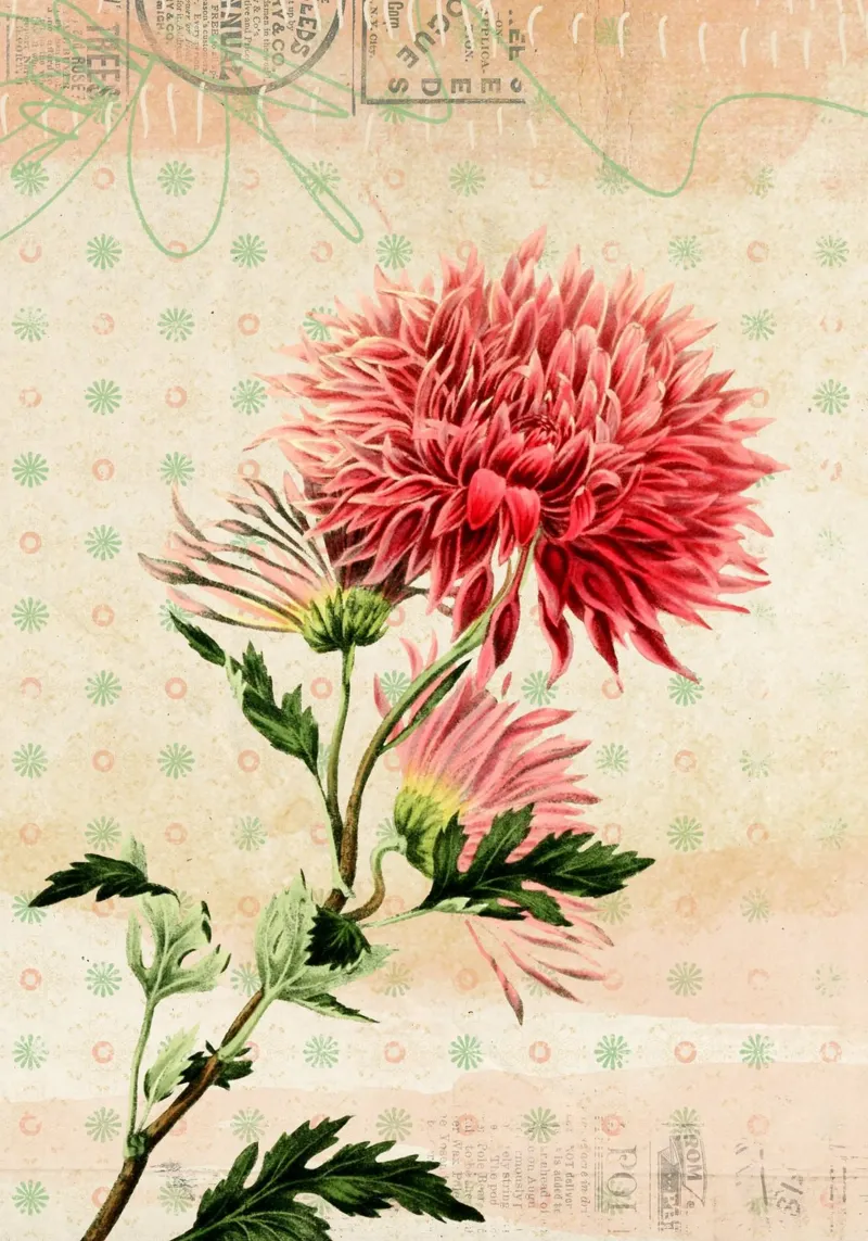 Floral Garden No. 02 poster con telaio in legno da lazydaypaper