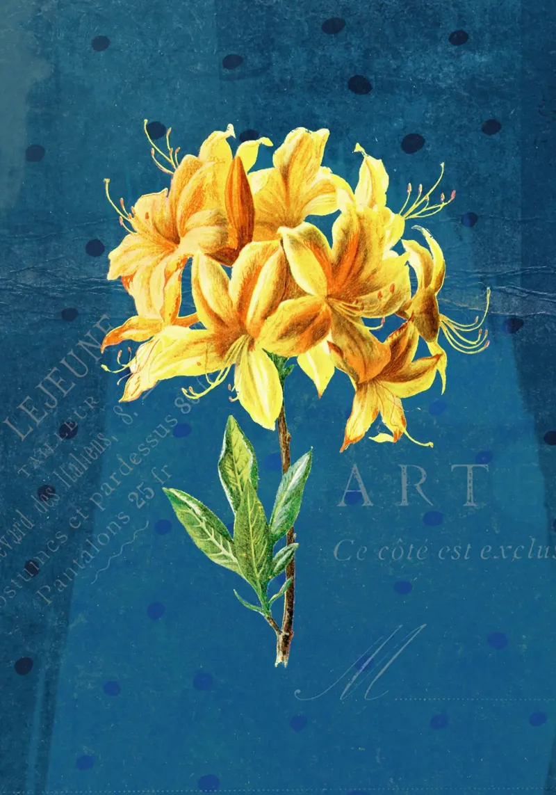 Floral Garden No. 05 tela con Cornice a cassetta da lazydaypaper