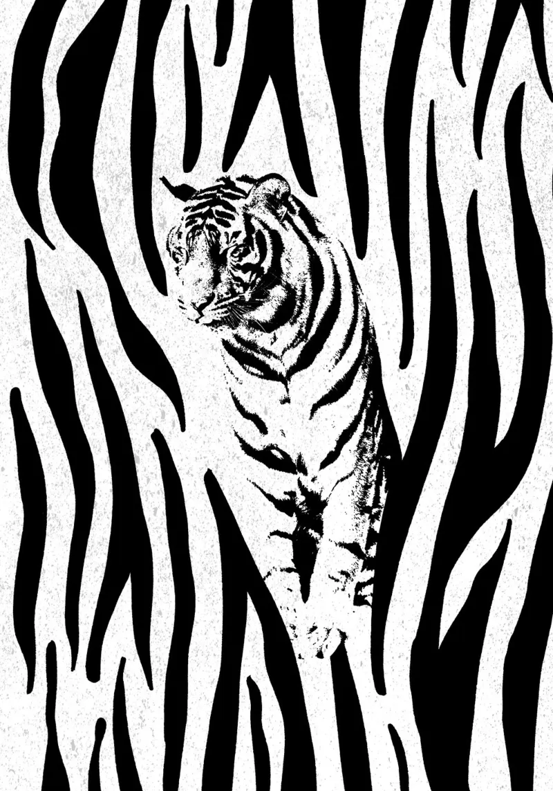 Tiger poster da lazydaypaper