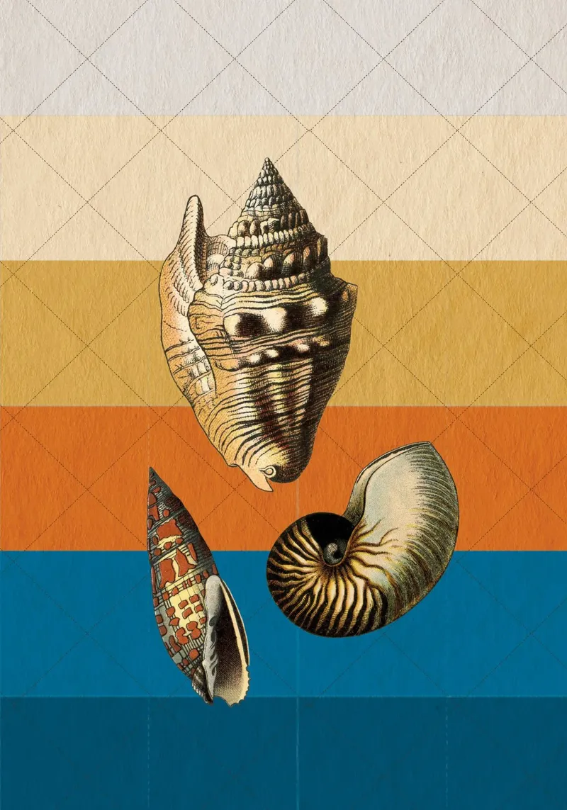 Muscheln poster da lazydaypaper