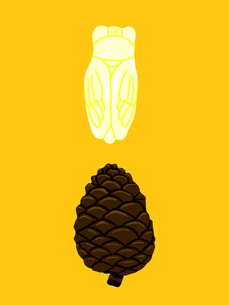 Illustrazione di cicala e pigna poster con telaio in plastica da Maria Maier