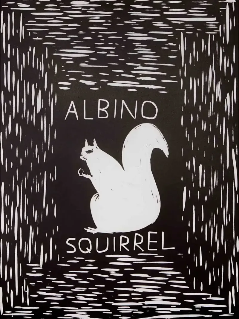 Scoiattolo albino - David Shrigley poster con telaio in plastica da ushop god