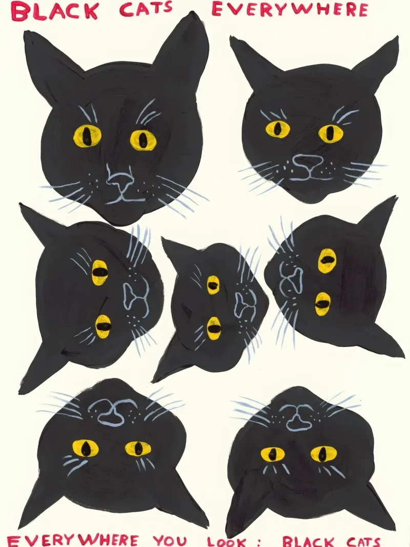 Black Cats Everywhere Everywhere You Look Bl- David Shrigley poster de ushop god