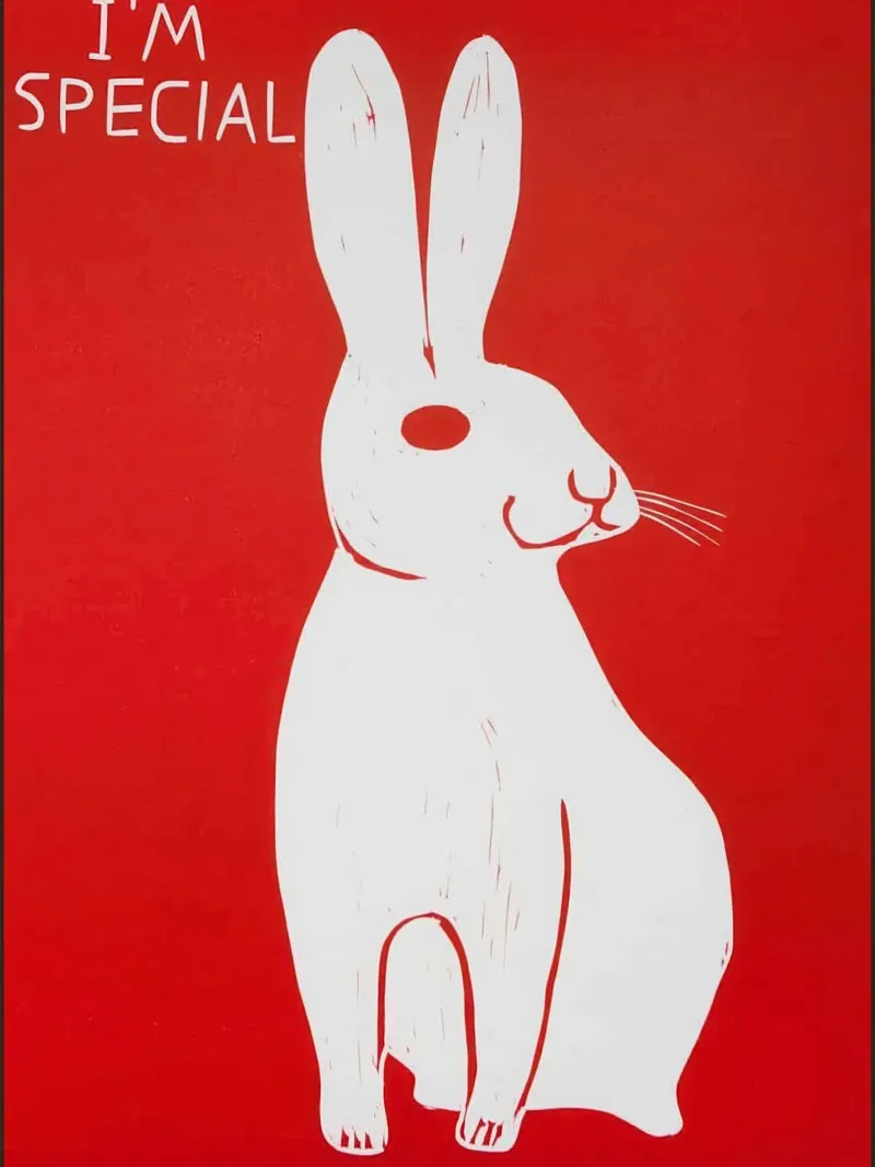 David SHrigley Sono speciale poster con telaio in legno da ushop god