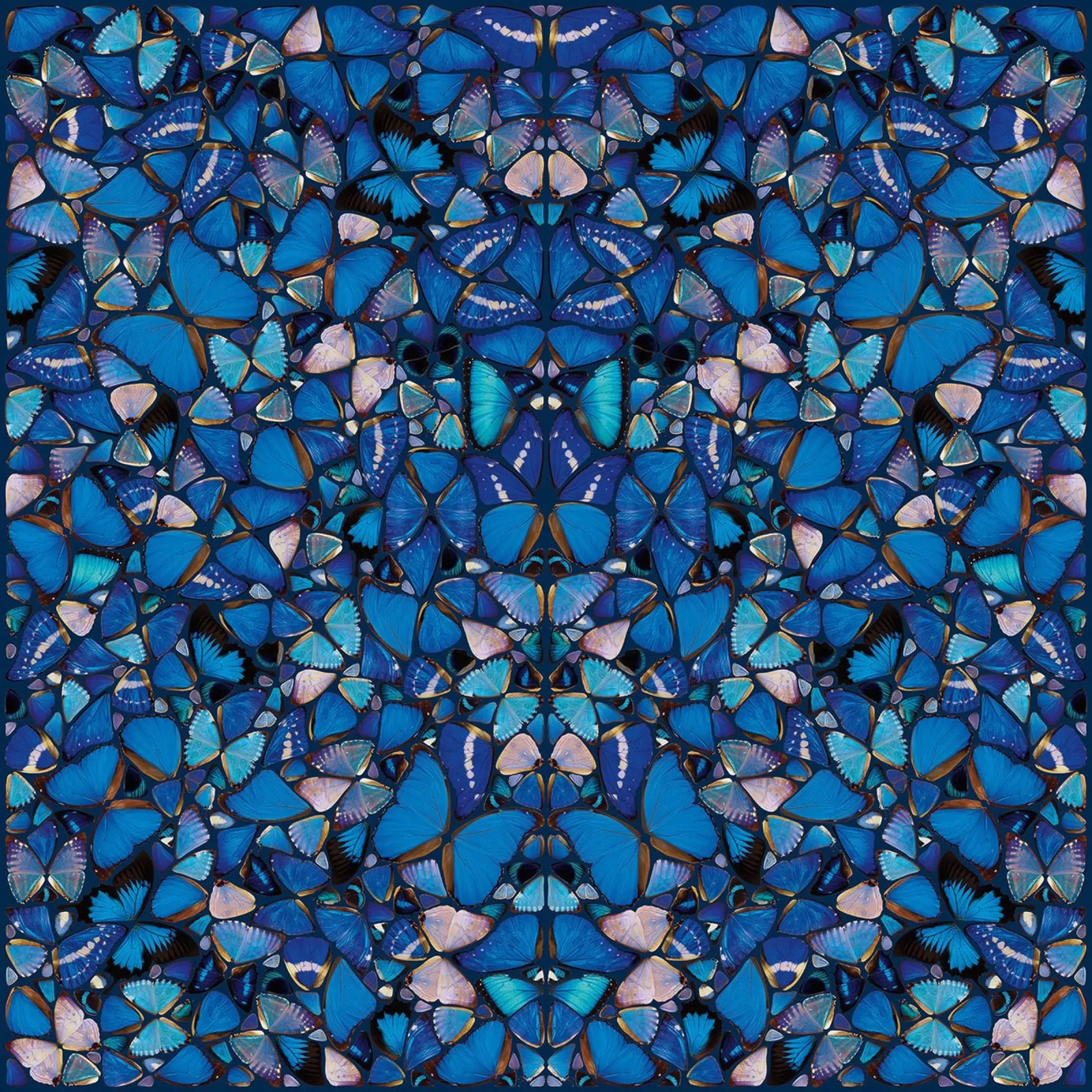 Damien Hirst - Stampa farfalla blu tela con Cornice a cassetta da Romeyoprints