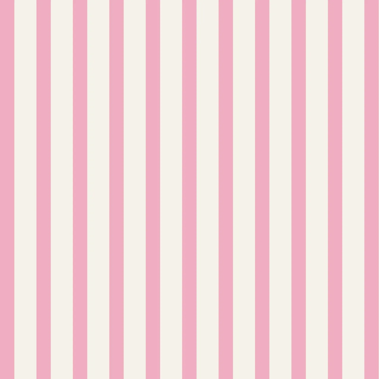 Pink and Beige Stripes Pattern canvas with Floater frame by Paigaam Studio
