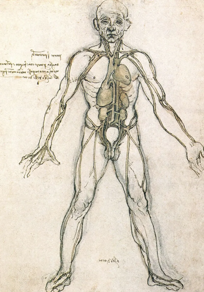 Studio di anatomia di Leonardo da Vinci tela con Cornice a cassetta da James McIntosh
