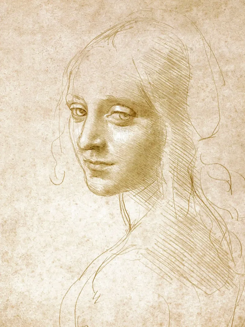 Testa di donna di Leonardo da Vinci l poster con telaio in alluminio da James McIntosh