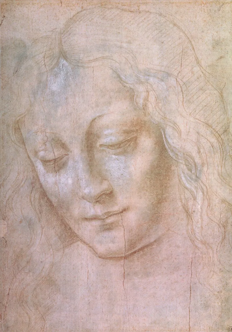 Testa di donna di Leonardo da Vinci poster con telaio in plastica da James McIntosh