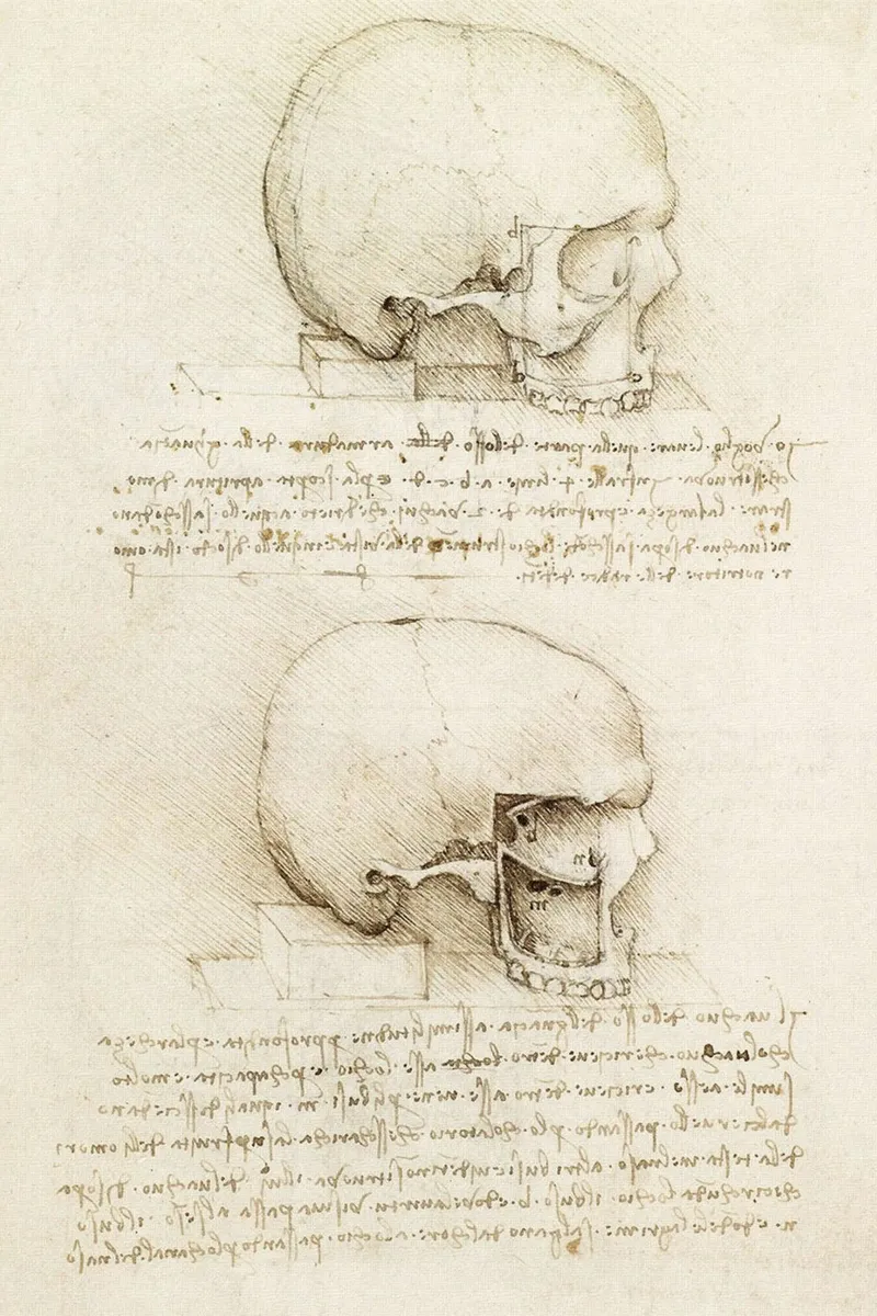 Il teschio di Leonardo da Vinci poster da James McIntosh