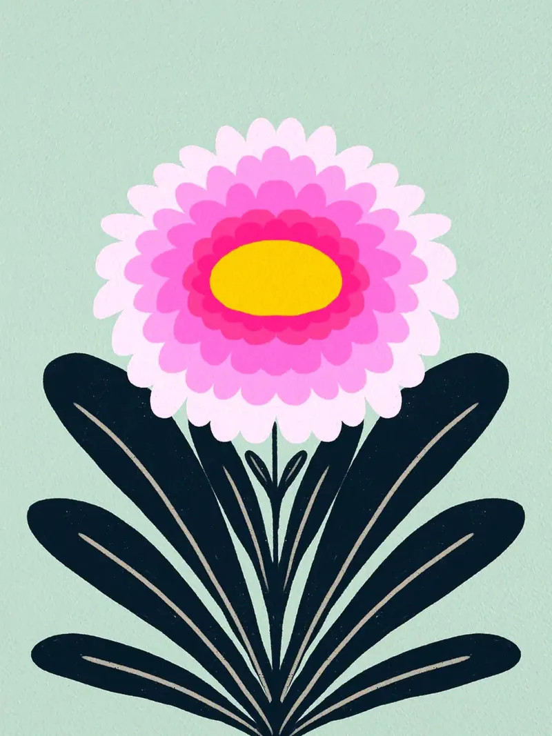 Illustrazione di crisantemo rosa poster da Hiroto Mori