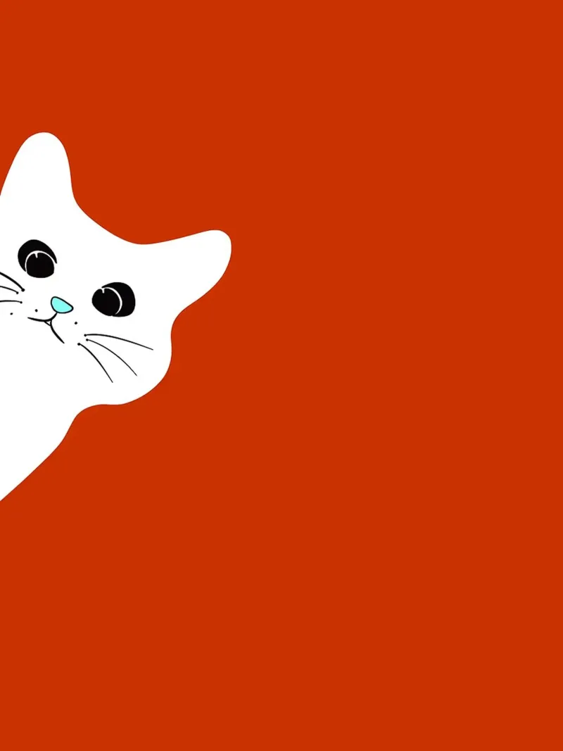 White Cat on Red Background canvas with Floater frame by Misaki Yamaguchi