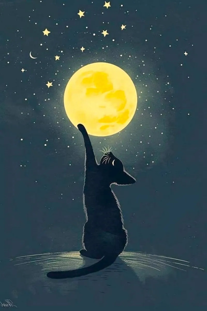 cat with moon Poster von hamily