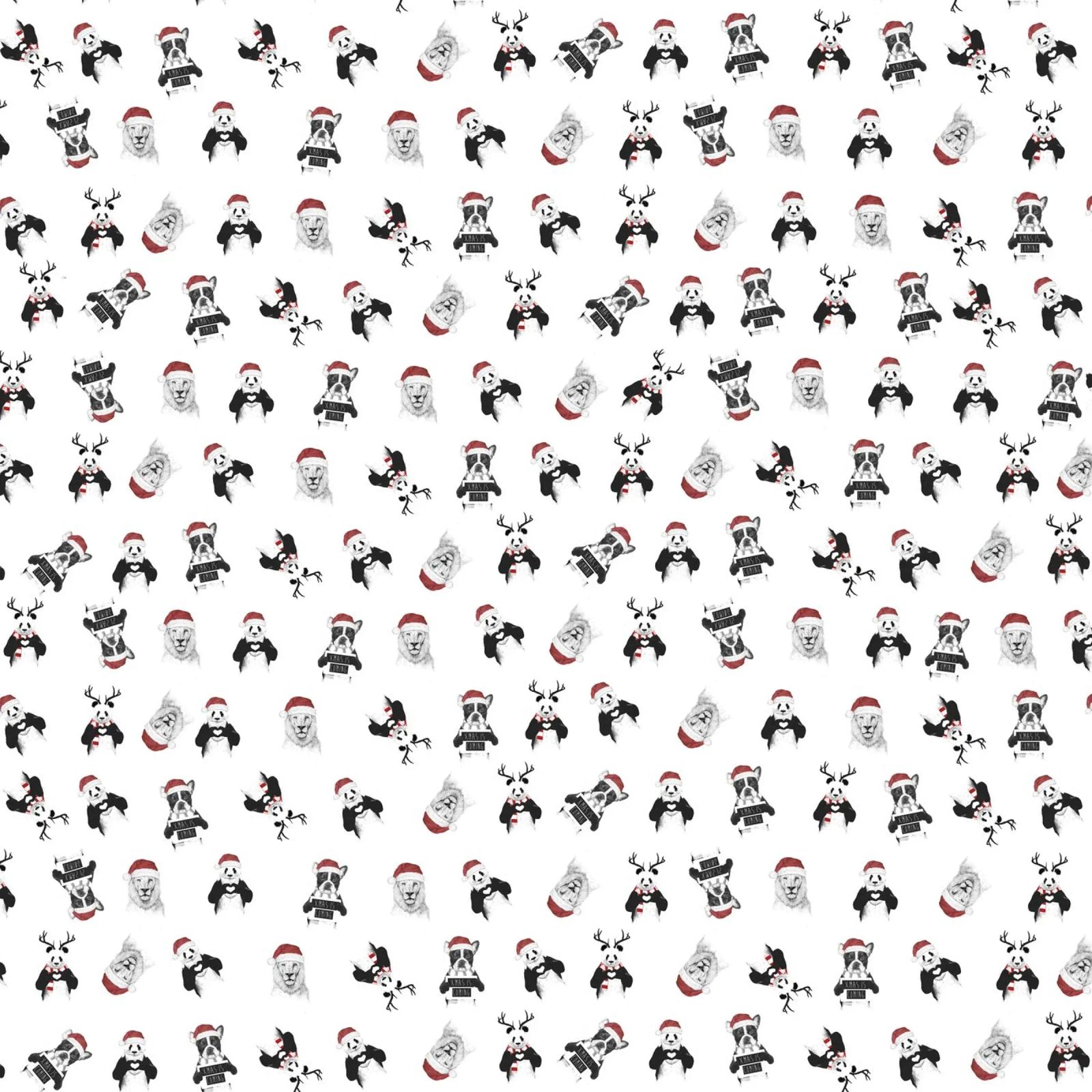 Xmas pattern pellicola backlit da Balazs Solti